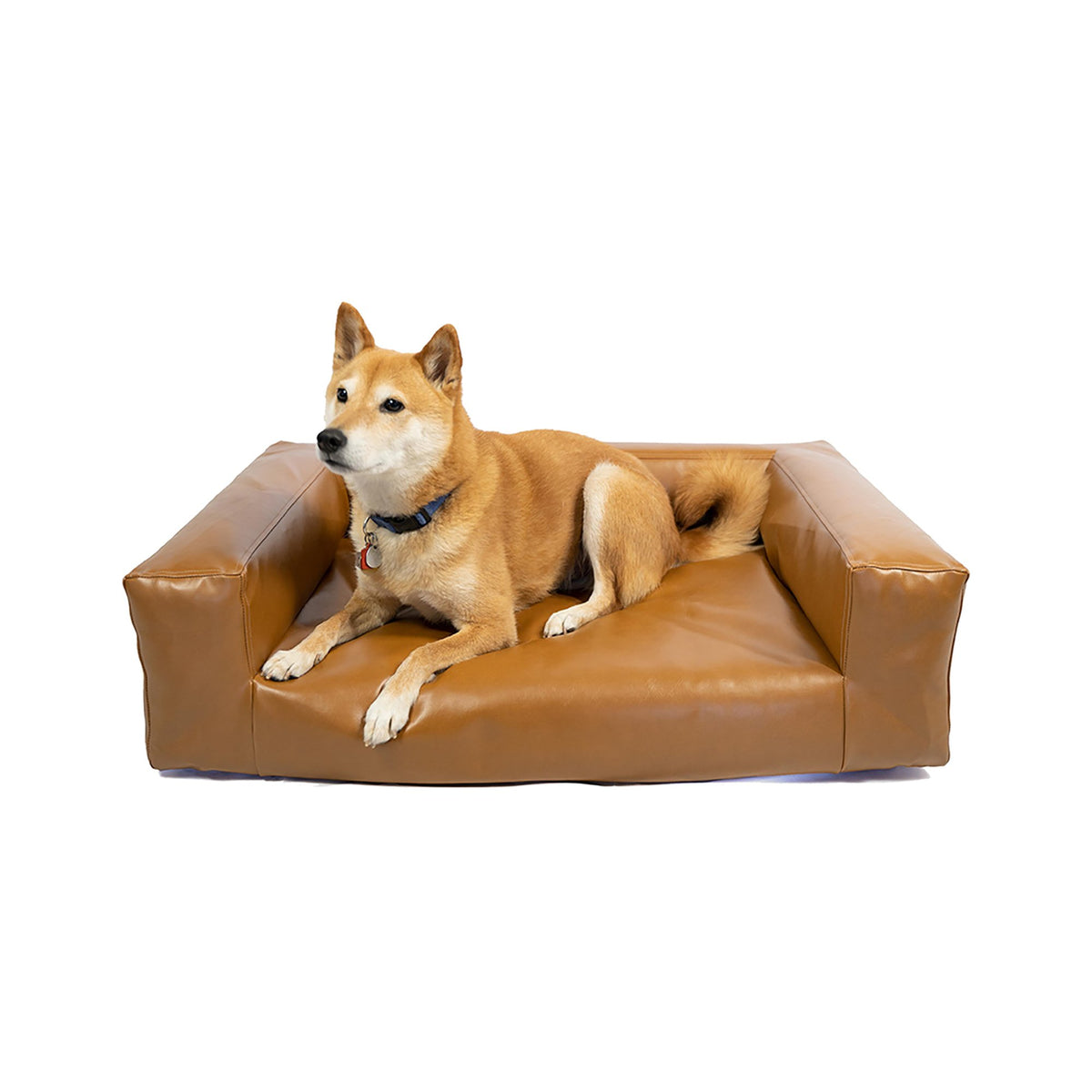 Fundas de sofá aptas para mascotas  Comfort Works – Comfort Works Global  Pte Ltd