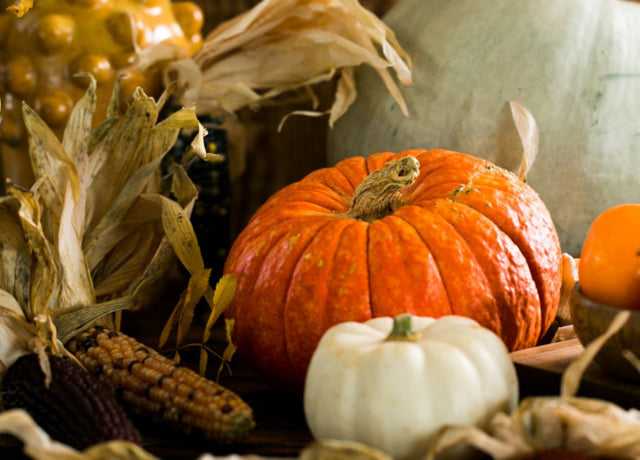 Fall theme decorations