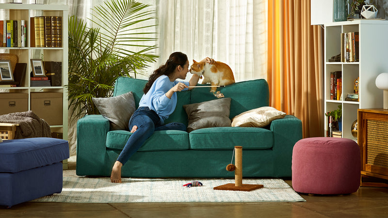 Woman playing with cat in cozy living room with IKEA KIVIK sofa in Claw-Proof Velvet Moss Slipcover