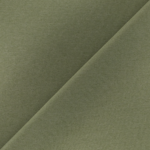 Performance Canvas Sage