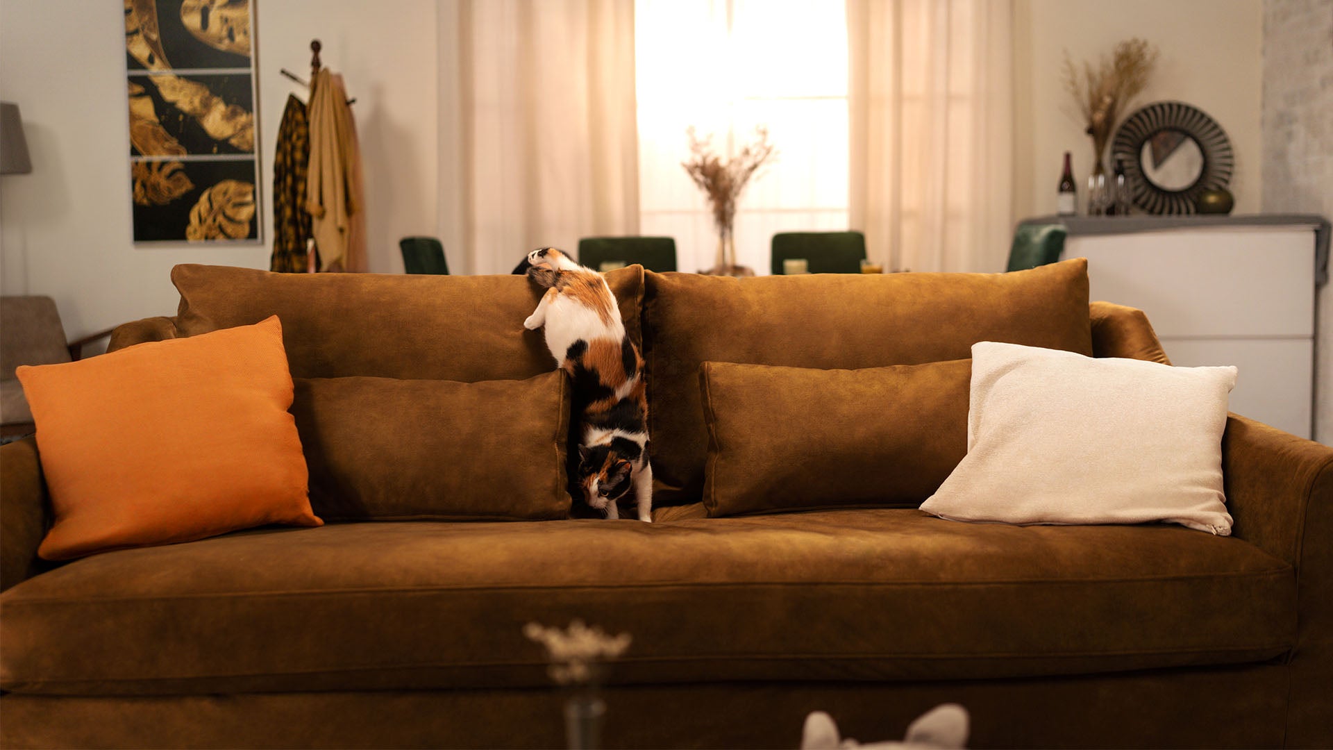 Petfriendly sofa covers Comfort Works Comfort Works Global Pte Ltd