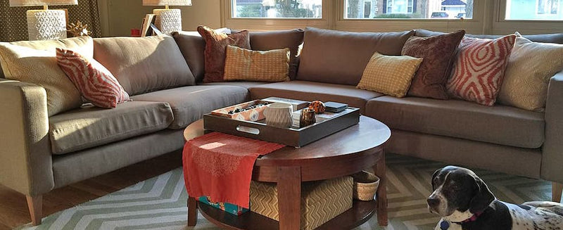 Customer photo: Custom sofa couch with Cotton Canvas Taupe in a living room with a dog